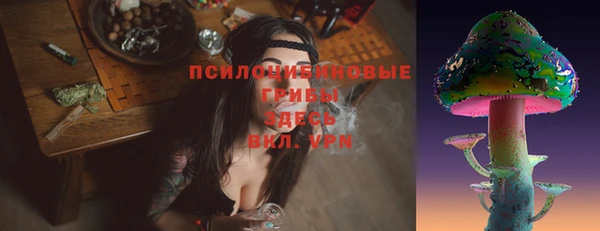 apvp Медвежьегорск