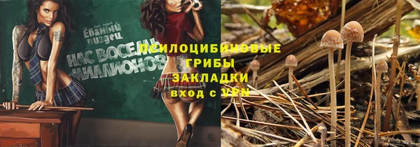 ALPHA PVP Медногорск