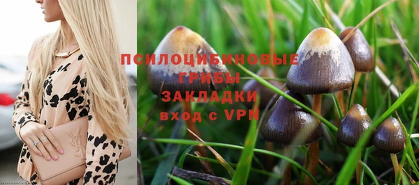 ALPHA PVP Медногорск