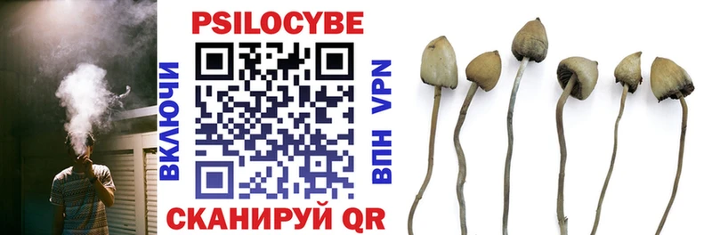 Псилоцибиновые грибы прущие грибы купить Северск