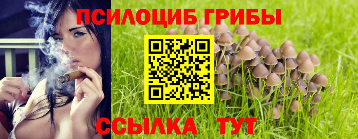 Северск  Галлюциногенные грибы Psilocybe  Вход с VPN 